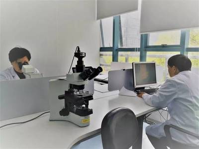 上海公司專業(yè)健康體檢與檢驗(yàn)科服務(wù)，守護(hù)您的健康生活