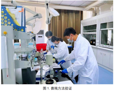 興安盟農畜產品質量安全檢驗檢測中心啟動33項獸藥殘留擴項及室內環境檢測工作