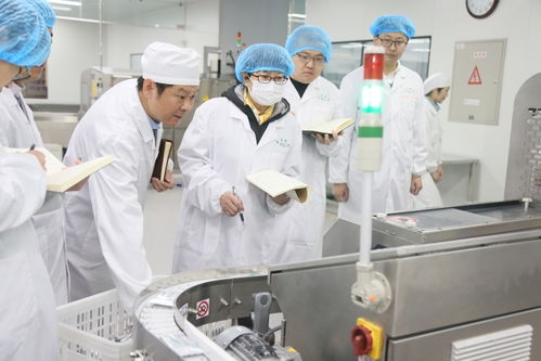 凝心聚力守正創新，聚焦主業服務監管——山東省藥監局各區域檢查分局與直屬單位工作亮點盤點