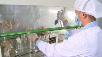 通城縣質檢中心 精準檢測，為企護航，把好產品質量與室內環境安全關